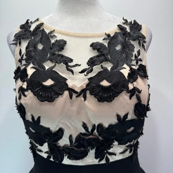 Black & Nude Dress Frilled Cocktail Party ModCloth Whimsigoth Chi Chi London 8 - Picture 6 of 16